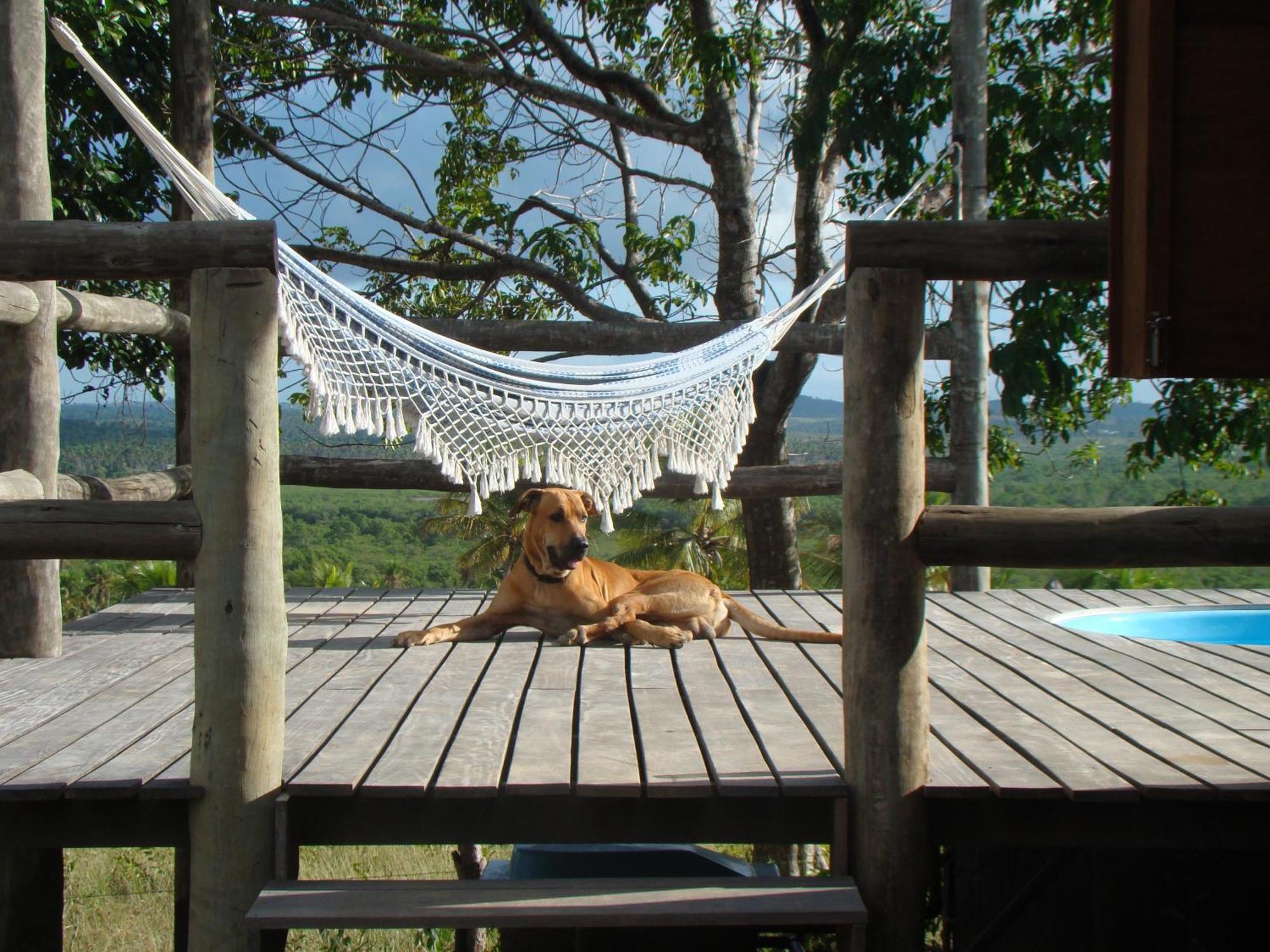 Pura Vida Bahia Otel Abadia Oda fotoğraf